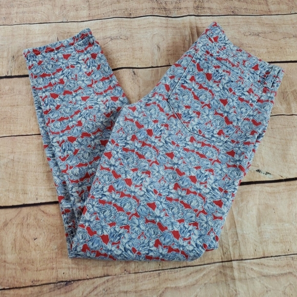 J. Crew Denim - J Crew Toothpick Slim Ankle Liberty Artist Print